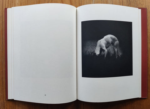 Photographs - Setanta Books