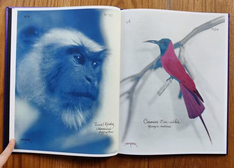 Pictorial Zoology
