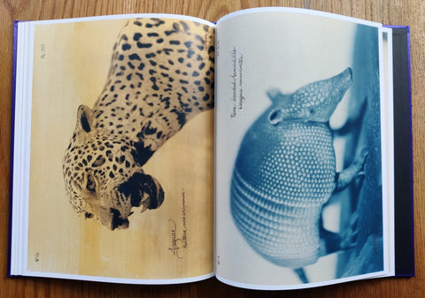 Pictorial Zoology