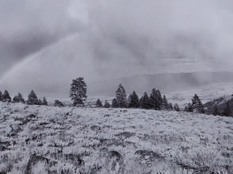 Pine Valley