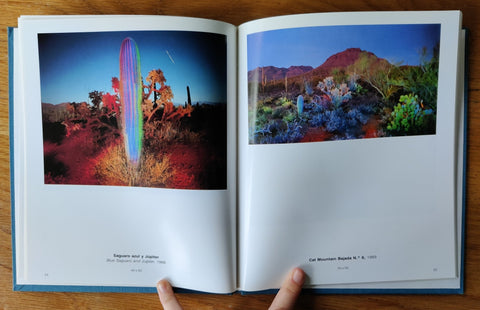 Pintando Con Luz - Setanta Books