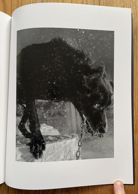 Polar Night - Setanta Books