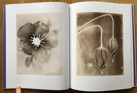 Proof - Setanta Books