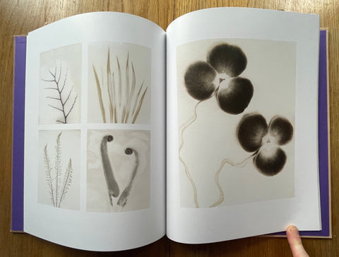 Proof - Setanta Books