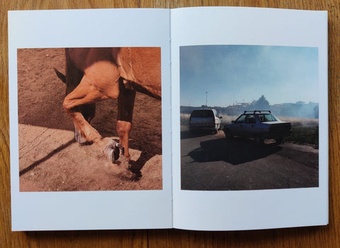Puglia Cruda - Setanta Books