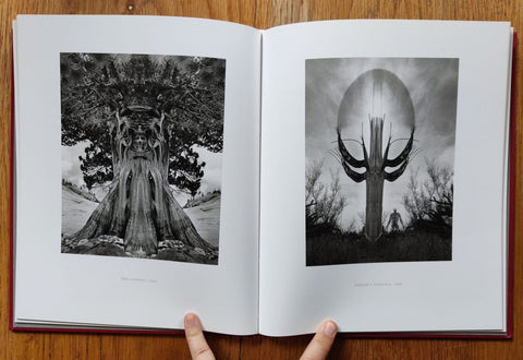 Referencing Art - Setanta Books