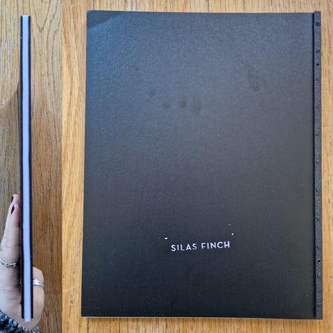 Remaining Light - Setanta Books