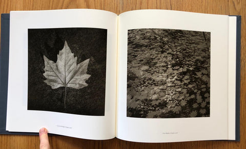 Reverence (Special Edition) with Print 2
