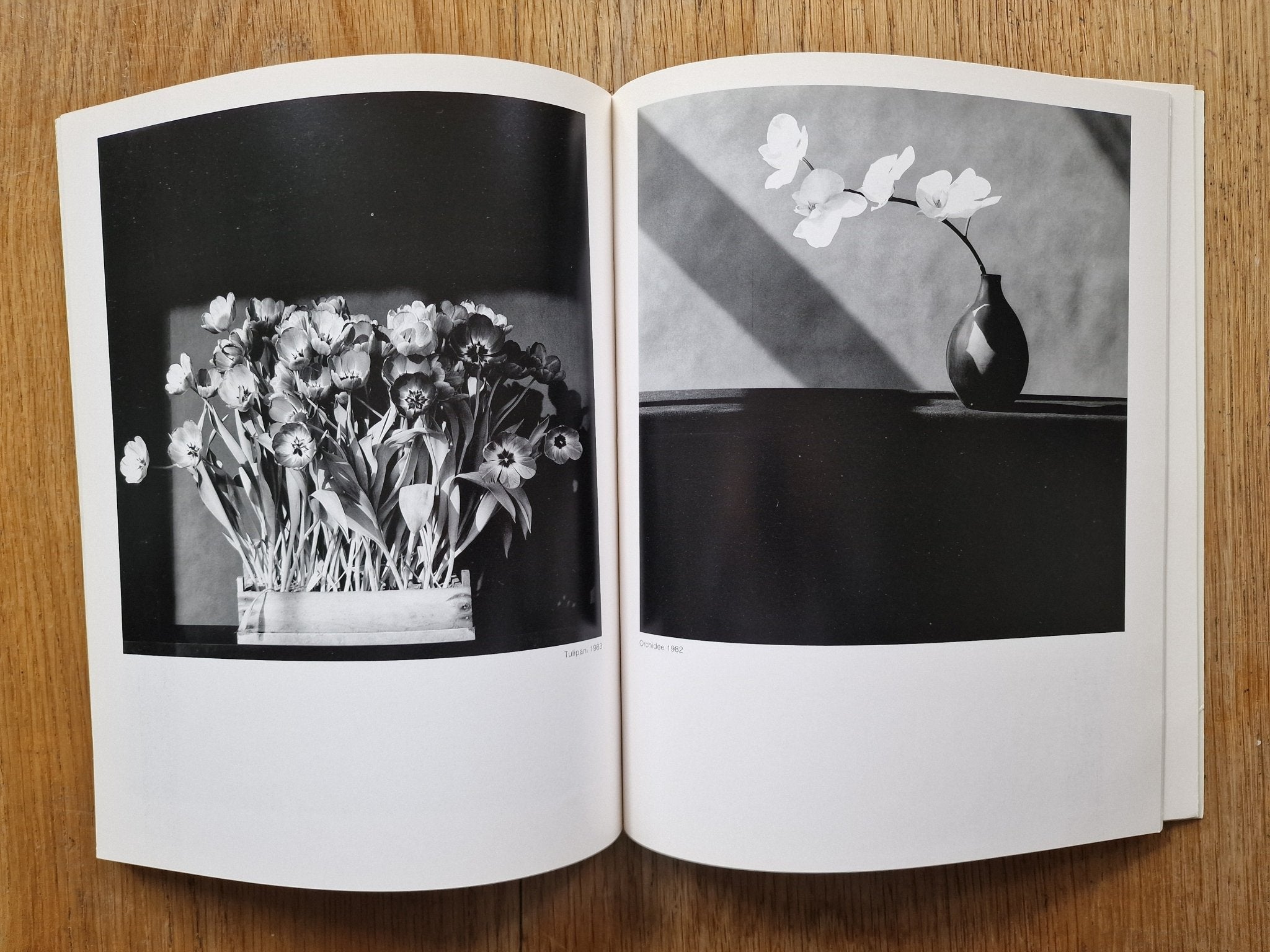 Buy Robert Mapplethorpe books Online – Setanta Books