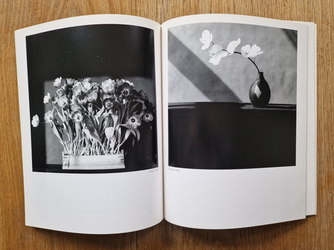 Robert Mapplethorpe - Setanta Books