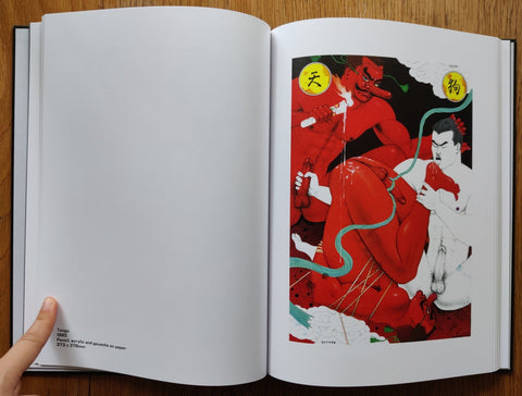 Sadao Hasegawa - Setanta Books