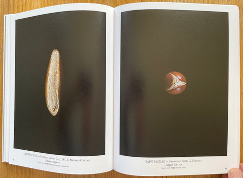 Seed Stories - Setanta Books