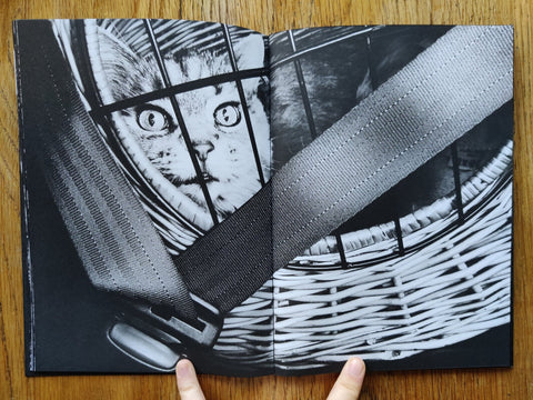 Self Portraits & Other Scenes - Setanta Books