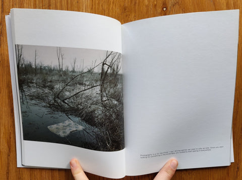 Sheep - Setanta Books