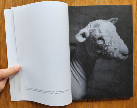 Sheep - Setanta Books