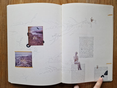 Sleeping State of Being – Creatures of Night and Day - Setanta Books