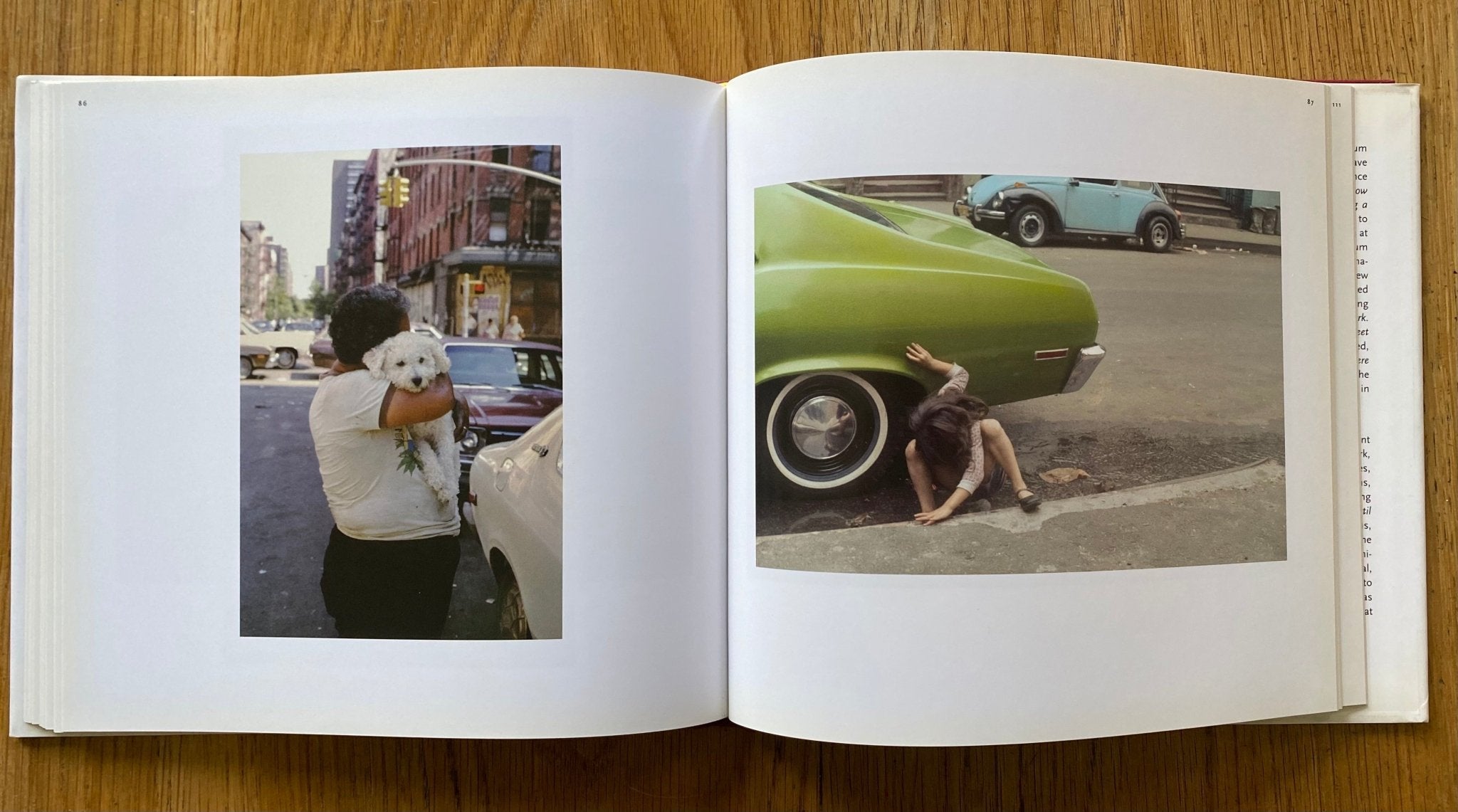 Slide Show by Helen Levitt | Setanta Books | Photography | Photobooks