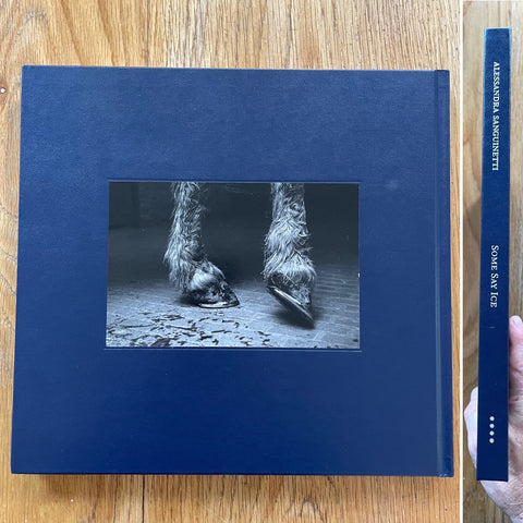Some Say Ice (1st Edition) - Setanta Books