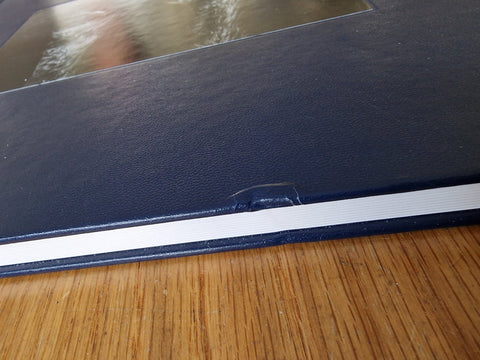 Some Say Ice (1st Edition) - Setanta Books