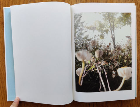 Somersault - Setanta Books