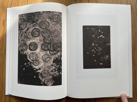 Son Album - Setanta Books
