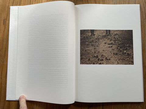 Son Album - Setanta Books