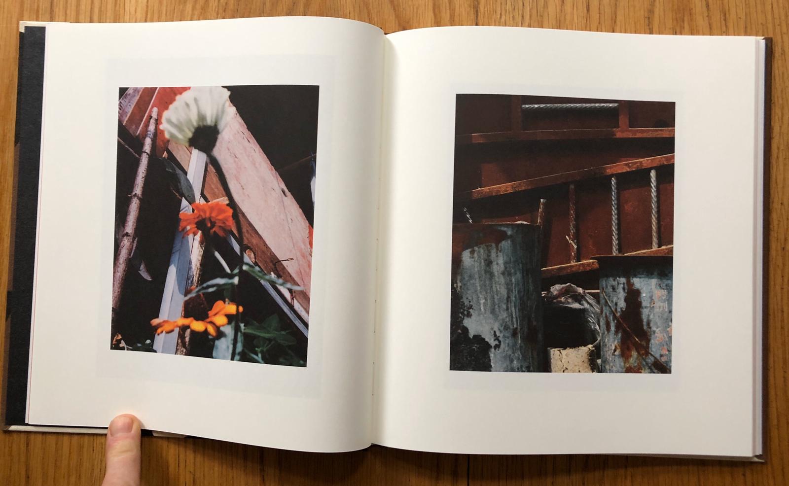 Buy Song Flowers by Jack Davison online – Setanta Books