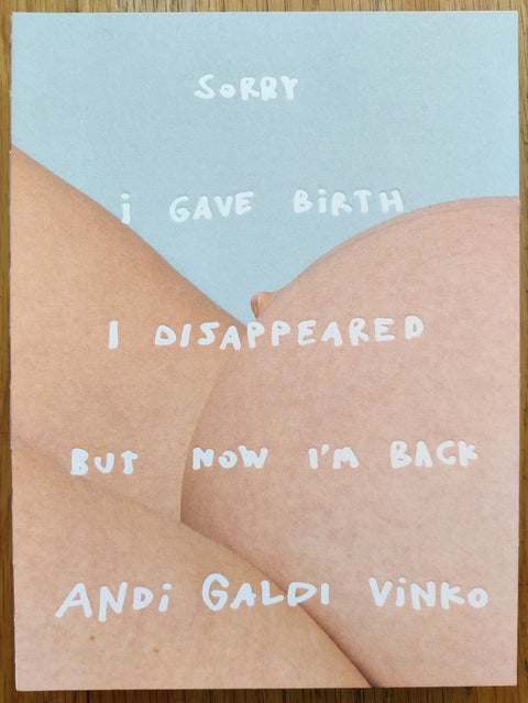 Sorry I Gave Birth I Disappeared But Now I'm Back - Setanta Books