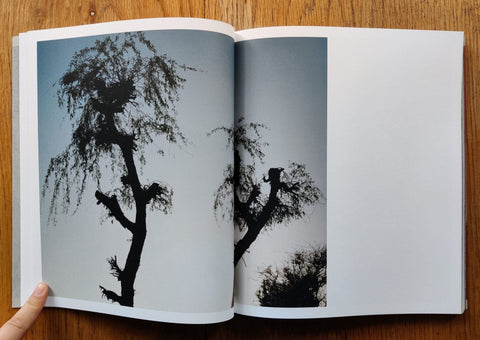 Speak The Wind - Setanta Books