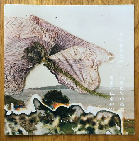 stephen-gill-hackney-flowers-