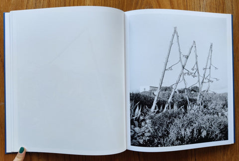 Sub Sole - Setanta Books