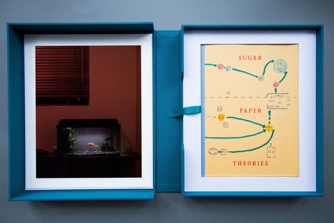 Sugar Paper Theories Portfolio Box - Setanta Books