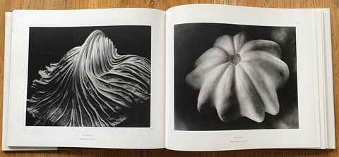 Supreme Instants: The Photography of Edward Weston - Setanta Books