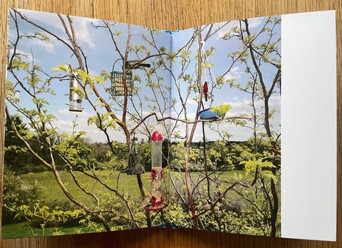 Sustenance (One Picture Book) - Setanta Books