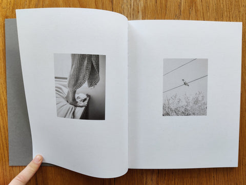 Teetering like a September myth - Setanta Books