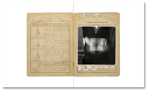 The Artist’s Books - Setanta Books