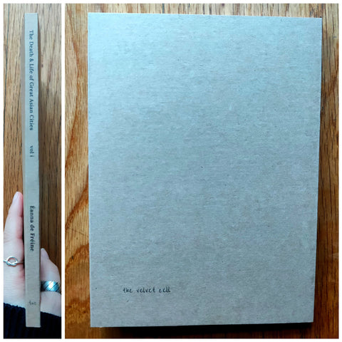 The Death &amp; Life of Great Asian Cities (Vol. 1)