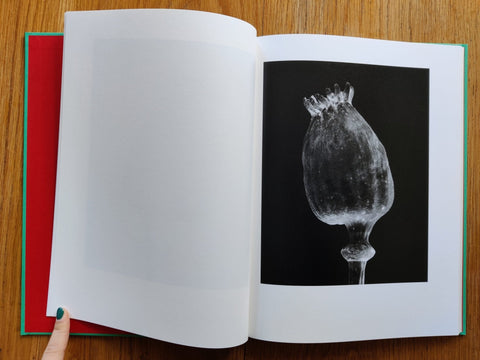 The Essential Solitude - Setanta Books