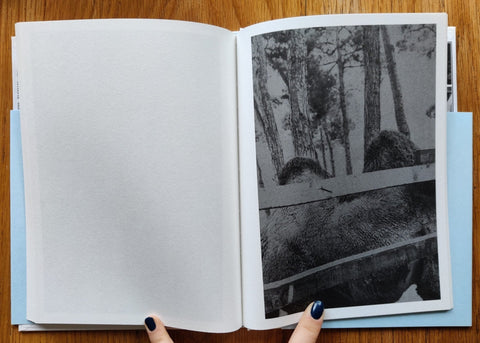 The Flood - Setanta Books