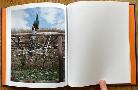 The Hunter, The Woman & the Hut - Setanta Books