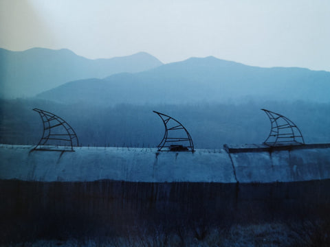 The Landscape