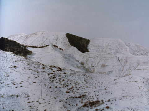 The Landscape