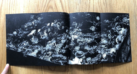 The Map