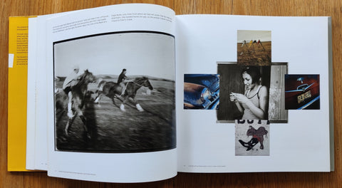 The Seventh Dog - Setanta Books
