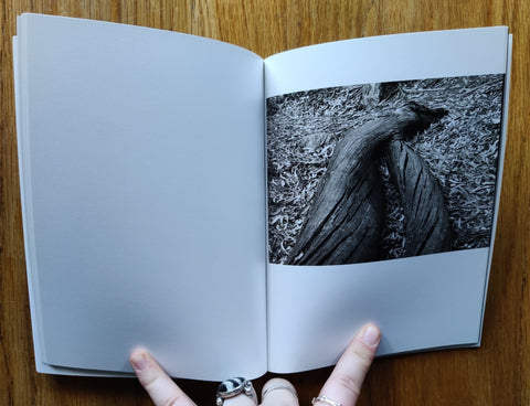 The Thing About You Is You Will End Up Like Me - Setanta Books