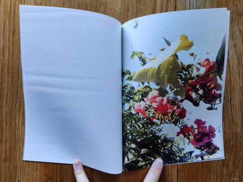 The things of the world are true / Somersault (Special Edition) - Setanta Books