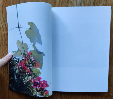 The things of the world are true / Somersault (Special Edition) - Setanta Books