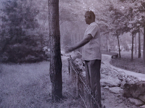 The Time Of Trees