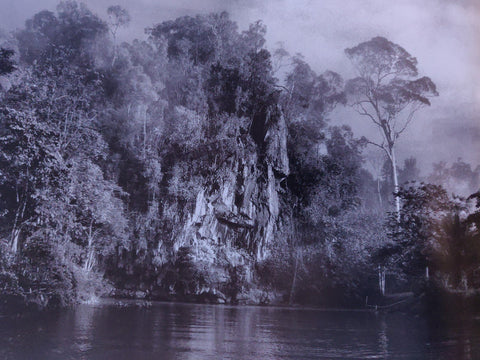 The Time Of Trees