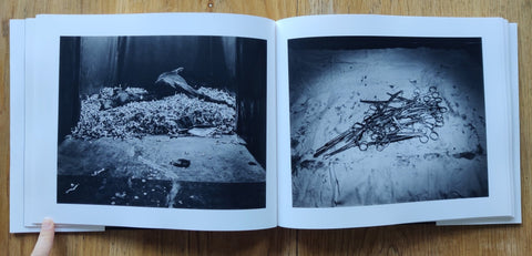 Theatrum Equorum - Setanta Books